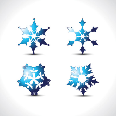 free vector Special snowflake vector